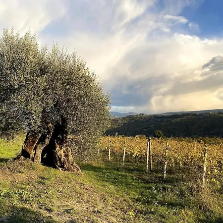 Italian Hillside Retreat Just One Hour From Rome Apartment