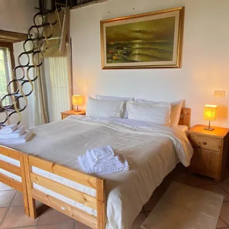 Solar Powered Hillside Retreat 1 Hour From Rome * Monte Campano