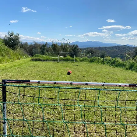 Διαμέρισμα Solar Powered Hillside Retreat 1 Hour From Rome