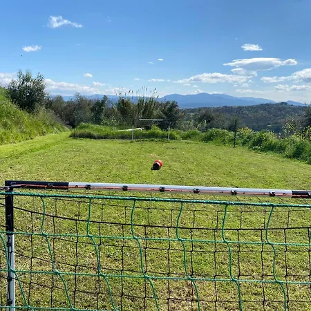 Italian Hillside Retreat Just One Hour From Rome Apartment